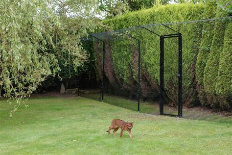 metal enclosure to keep animals out|fence for hungry animals.